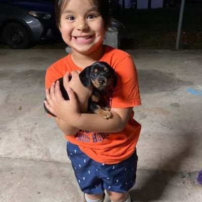 A&A Dachshund alumni
